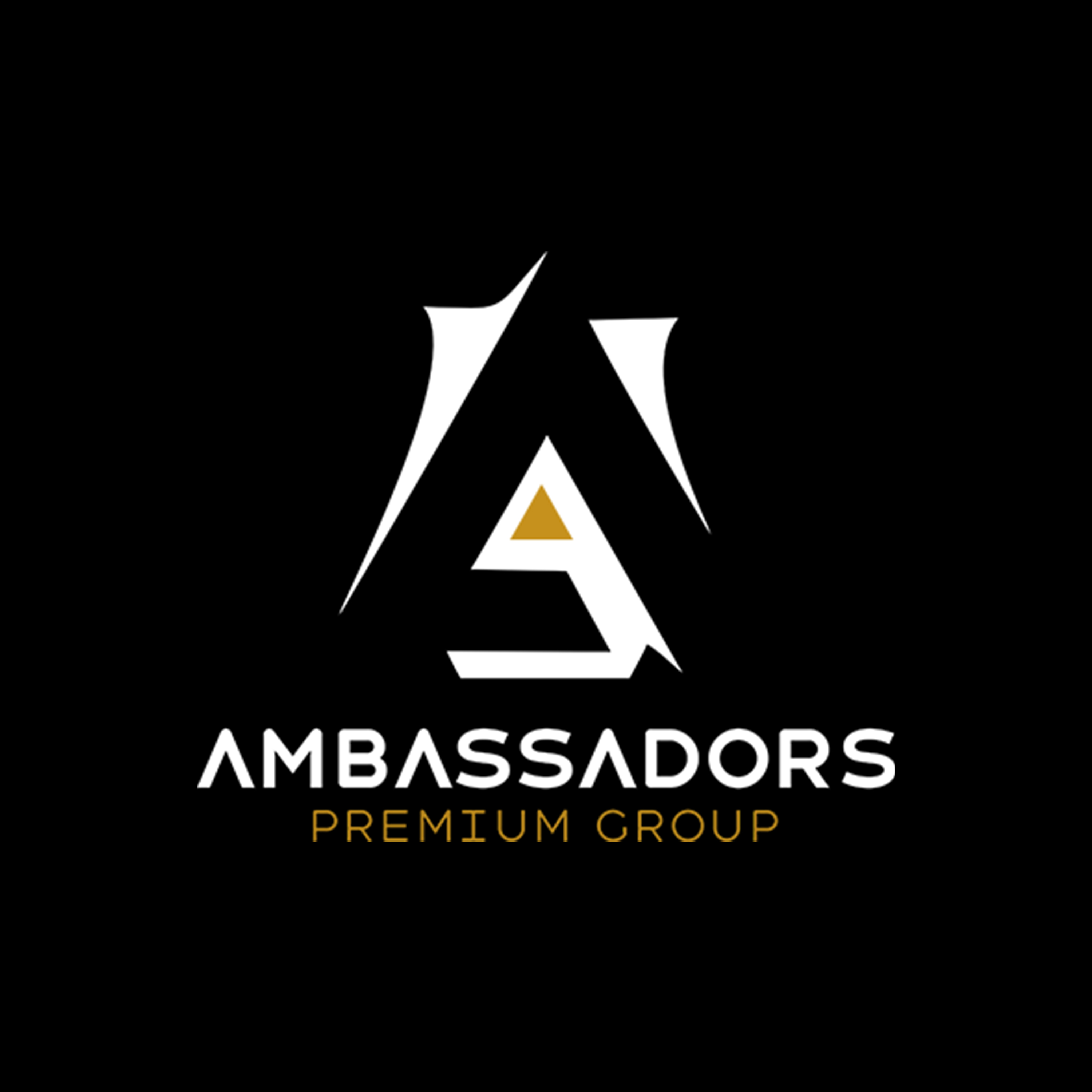 Ambassadors Premium Group Ambassadors Premium Group — branding and design work 3