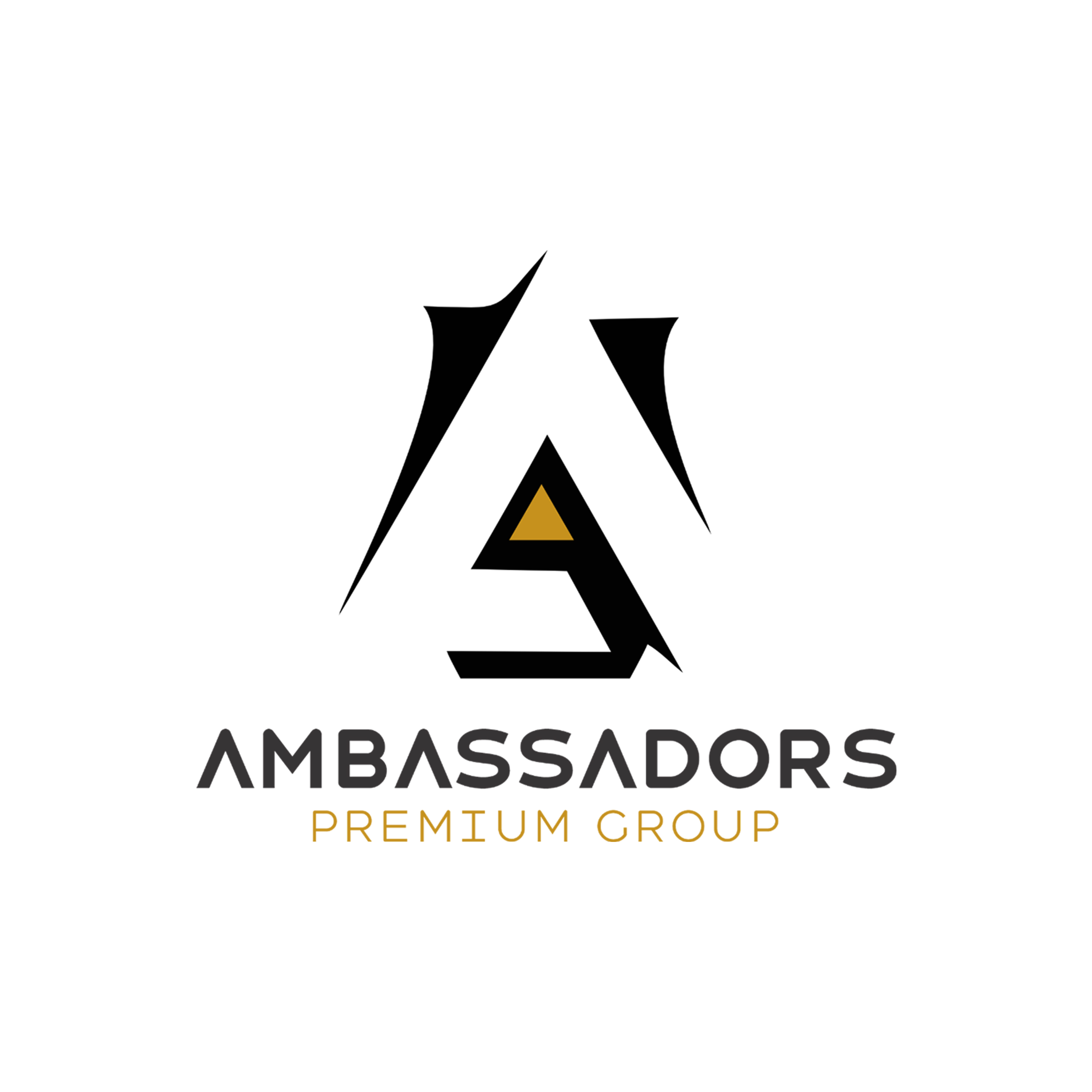 Ambassadors Premium Group Ambassadors Premium Group — branding and design work 4