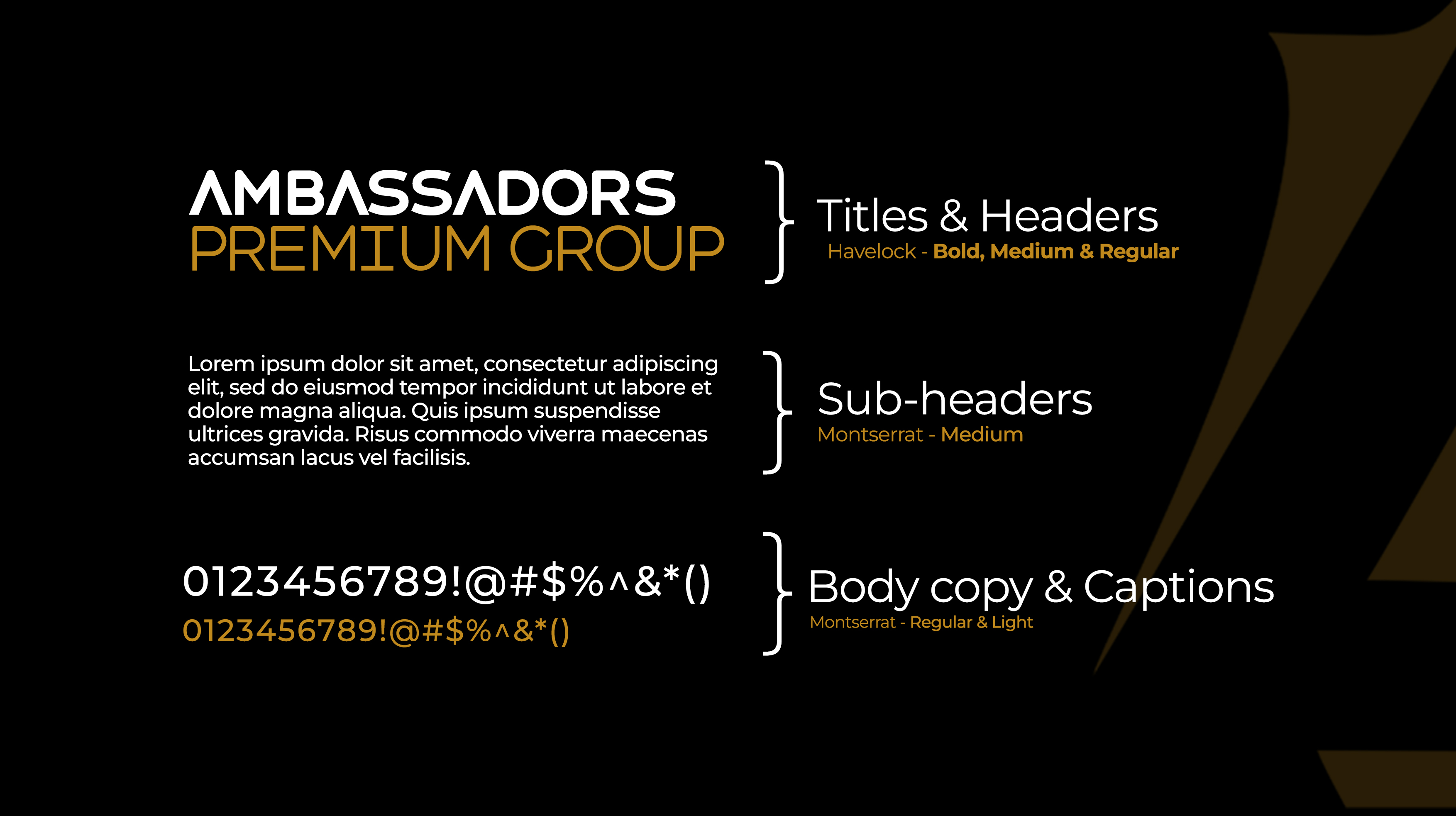 Ambassadors Premium Group Ambassadors Premium Group — branding and design work 7